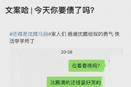 鹿邑融资清欠服务